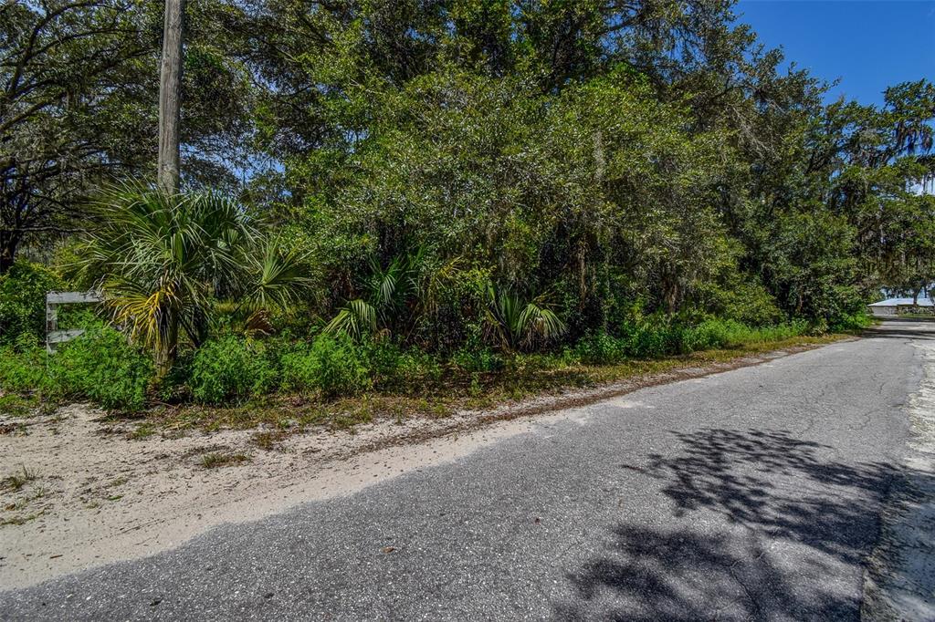 8601 West Bass Lake Road, Unit 12 Crystal River, FL 34428 - Photo 12 of 22 a view of a dirt road with trees in the background