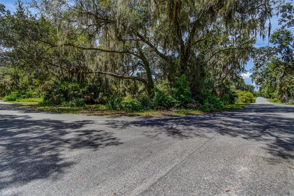 8601 West Bass Lake Road, Unit 12 Crystal River, FL 34428 - Photo 13 of 22 a backyard of a house with lots of green space