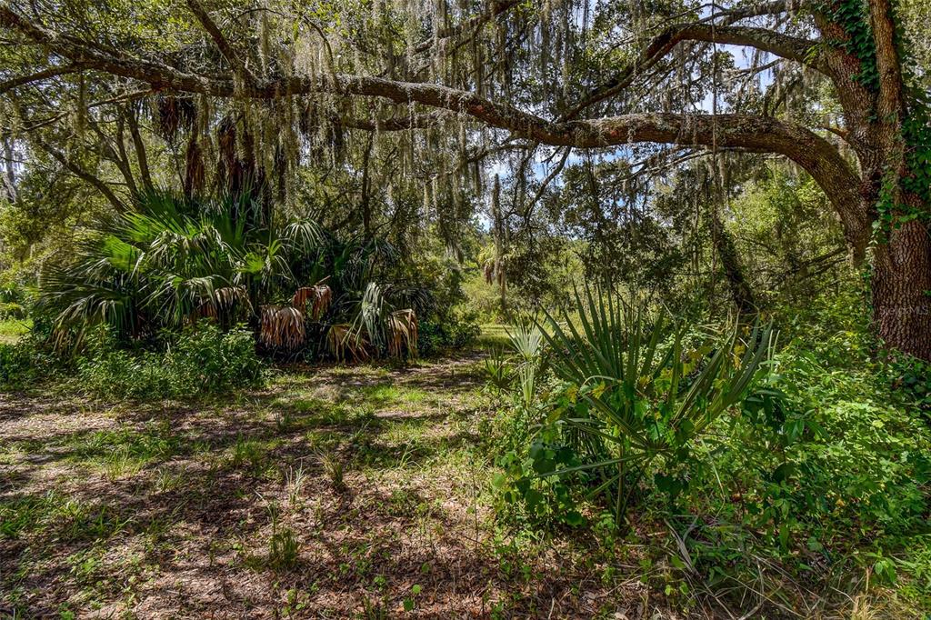 8601 West Bass Lake Road, Unit 12 Crystal River, FL 34428 - Photo 15 of 22 a backyard of a house with lots of green space