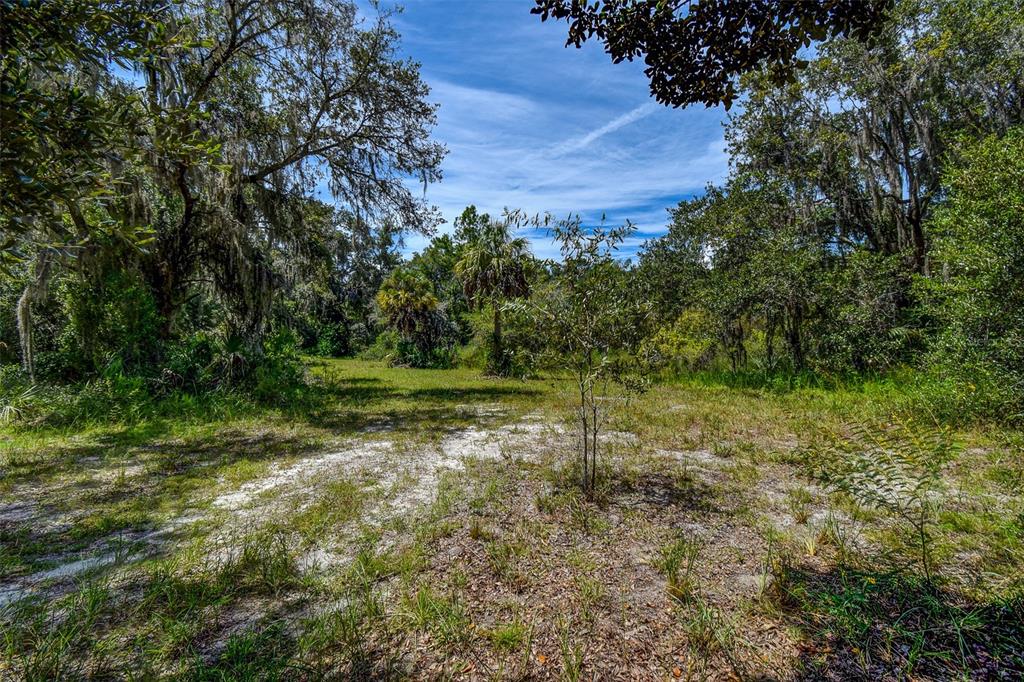 8601 West Bass Lake Road, Unit 12 Crystal River, FL 34428 - Photo 16 of 22 a view of a green field with lots of bushes