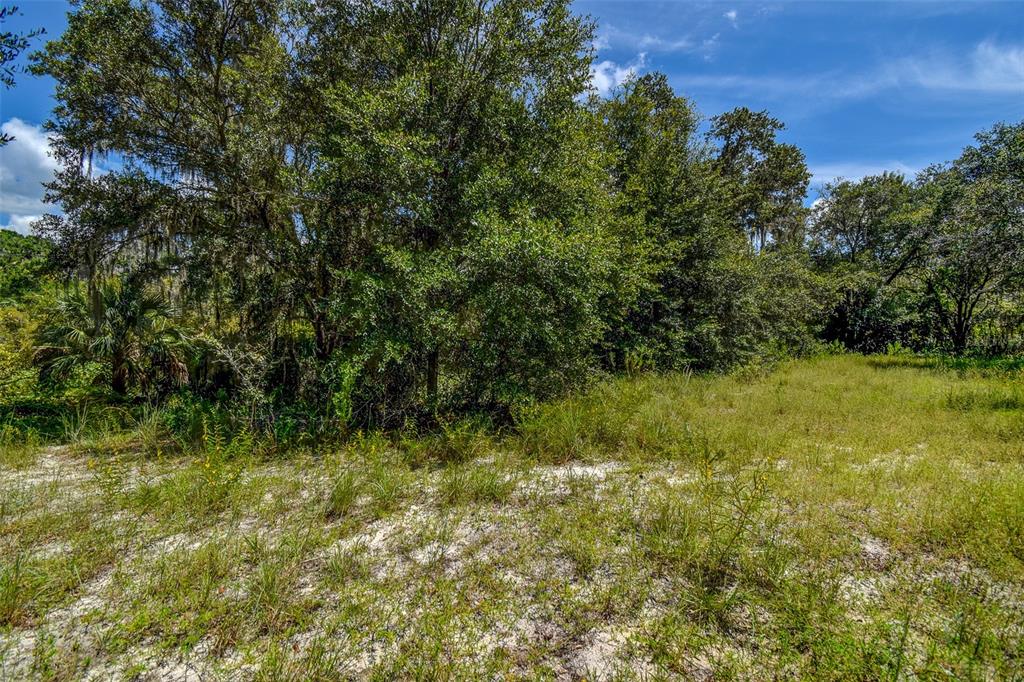 8601 West Bass Lake Road, Unit 12 Crystal River, FL 34428 - Photo 18 of 22 a view of a garden
