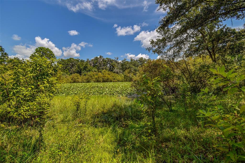 8601 West Bass Lake Road, Unit 12 Crystal River, FL 34428 - Photo 19 of 22 a view of a bunch of trees