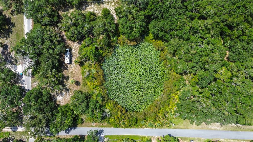 8601 West Bass Lake Road, Unit 12 Crystal River, FL 34428 - Photo 2 of 22 a view of a yard