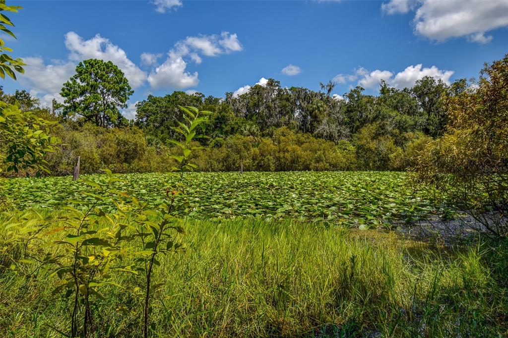 8601 West Bass Lake Road, Unit 12 Crystal River, FL 34428 - Photo 21 of 22 a view of a lake