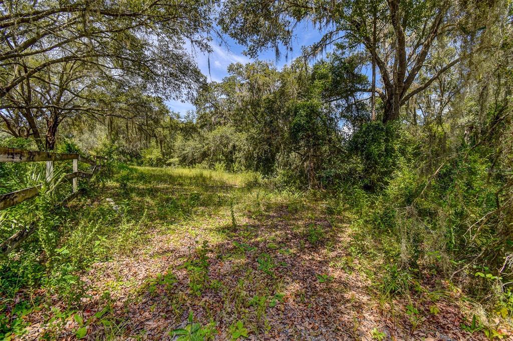 8601 West Bass Lake Road, Unit 12 Crystal River, FL 34428 - Photo 22 of 22 a view of a yard with a tree