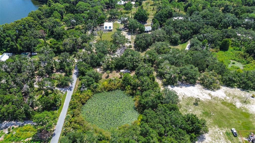 8601 West Bass Lake Road, Unit 12 Crystal River, FL 34428 - Photo 3 of 22 an aerial view of residential house with outdoor space and trees all around