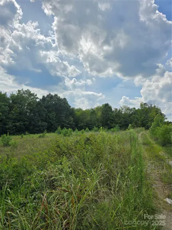 a view of a green field with lots of green space
