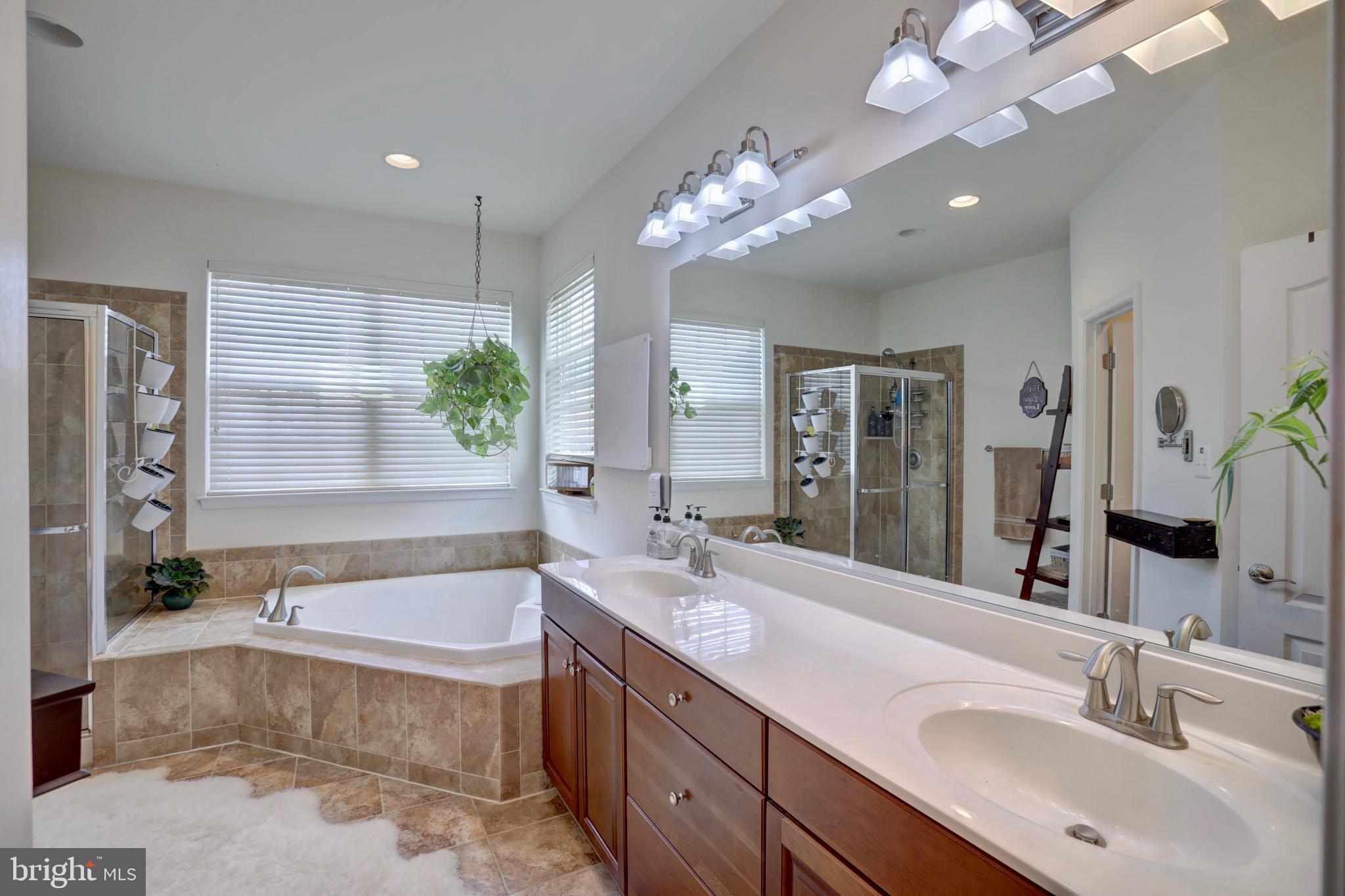 43135 Rudy Terrace Leesburg, VA 20176 - Photo 17 of 28 Tub with bird watching window