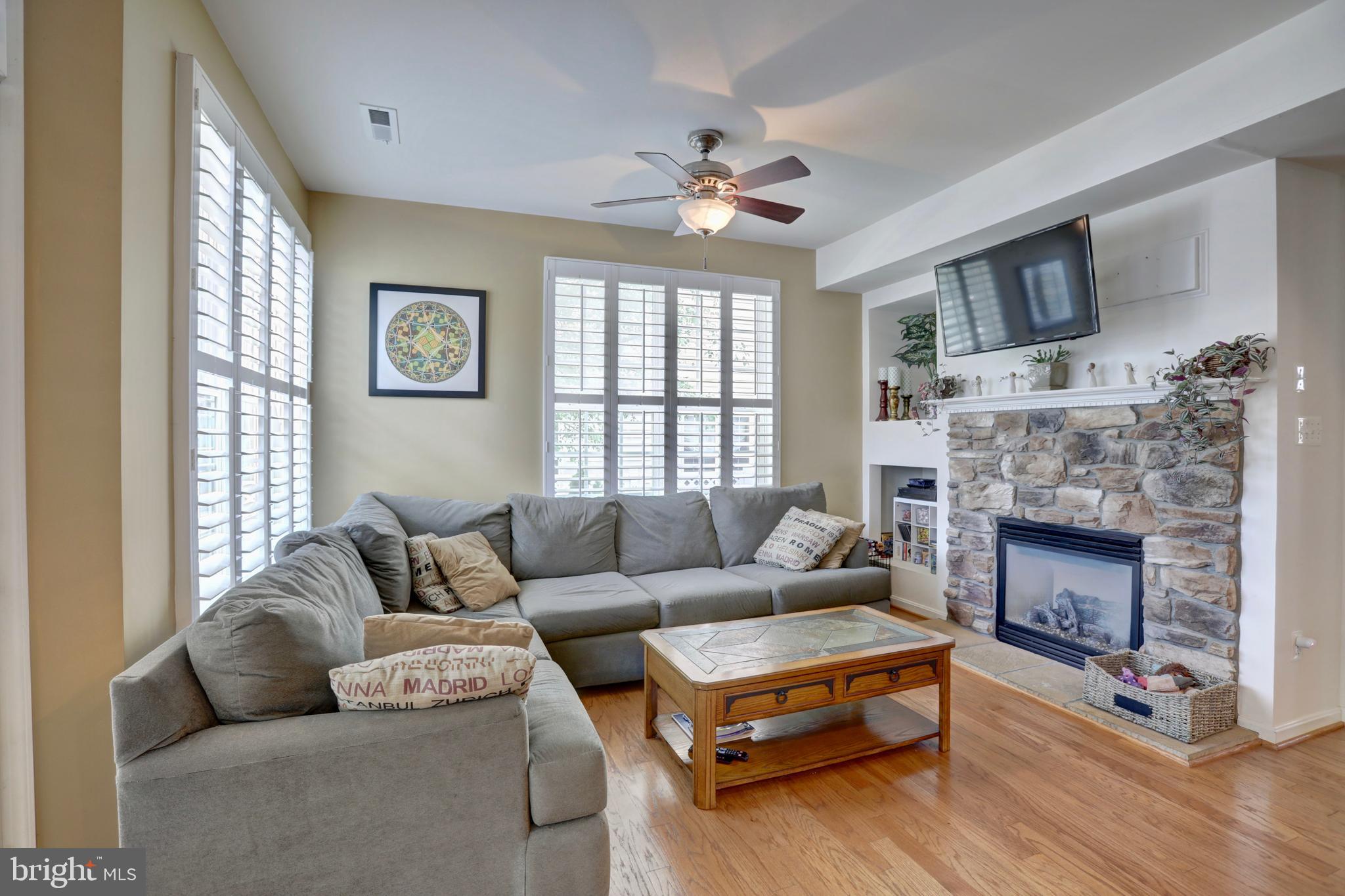 43135 Rudy Terrace Leesburg, VA 20176 - Photo 9 of 28 Gas fireplace
