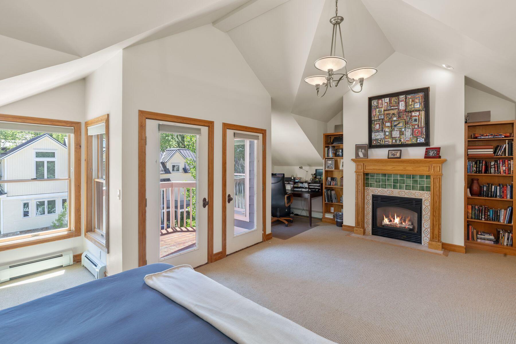 239 North Davis Street Telluride, CO 81435 - Photo 24 of 42 photo_online_024