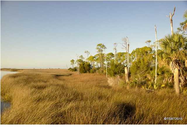 1931 Indian Harbor Road St. George Island, FL 32328 - Photo 5 of 8