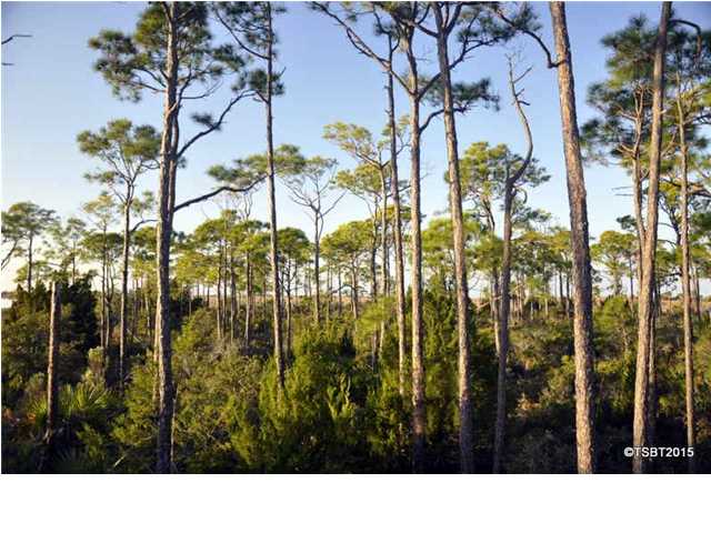 1931 Indian Harbor Road St. George Island, FL 32328 - Photo 7 of 8