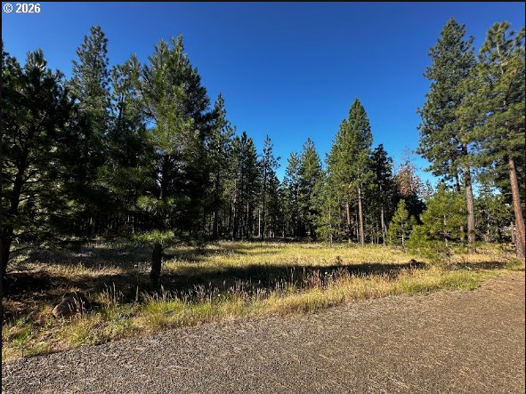 1 Carol Lane Goldendale, WA 98620 - Photo 1 of 3 Gallery Image 1