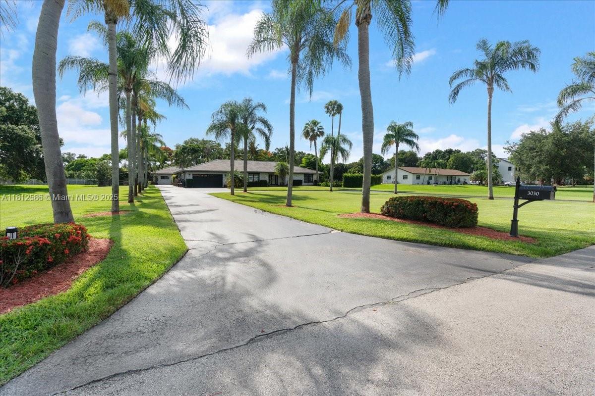 3030 Southwest 117th Avenue Davie, FL 33330 - Photo 4 of 47 a view of a park and palm trees