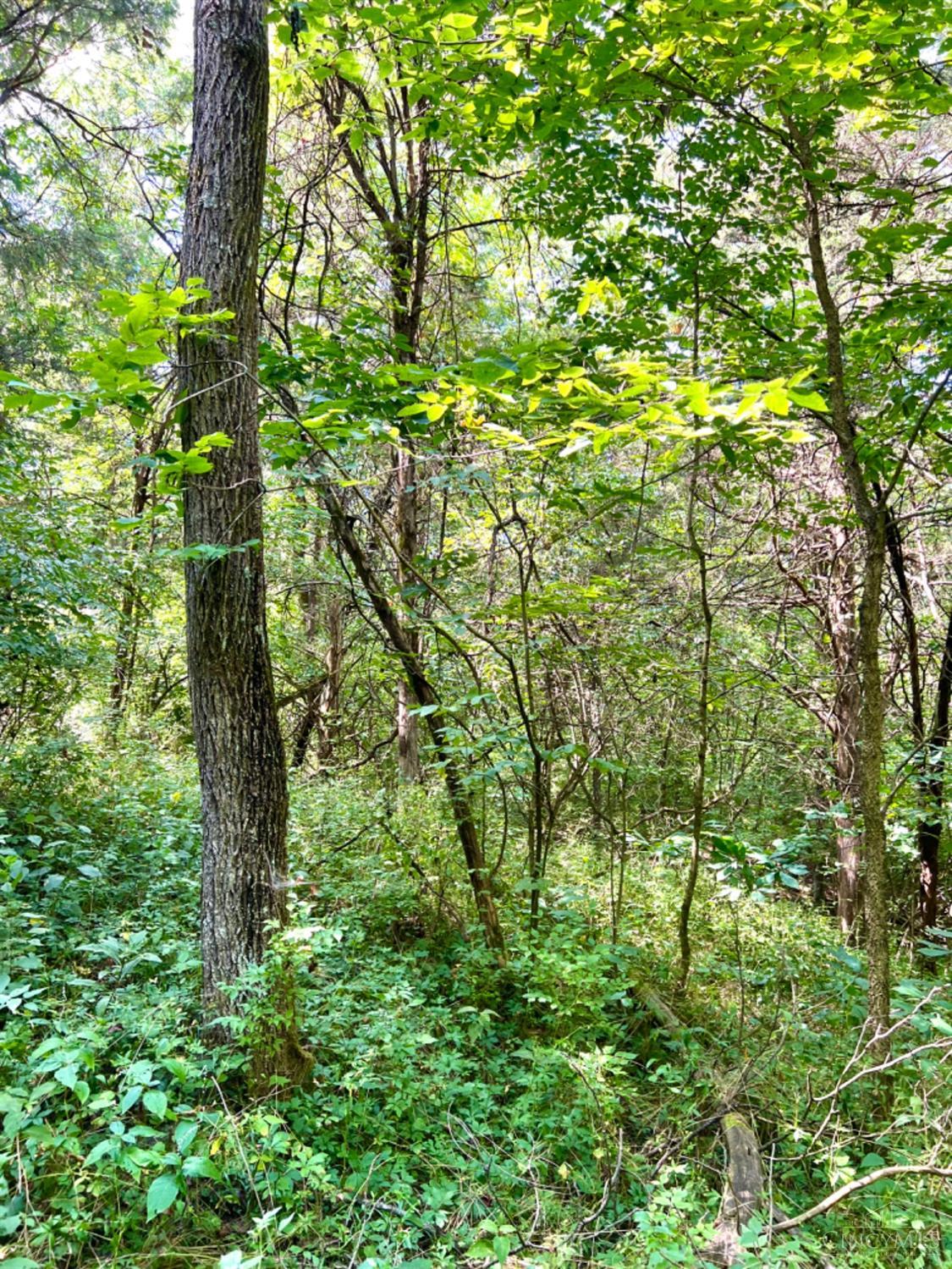0 Brier Ridge Road West Union, OH 45693 - Photo 91 of 98