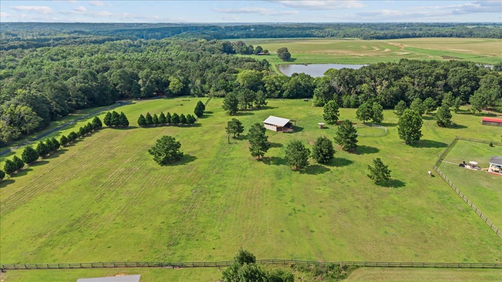 3115 Cumbie Road Newton, AL 36352 - Photo 5 of 61
