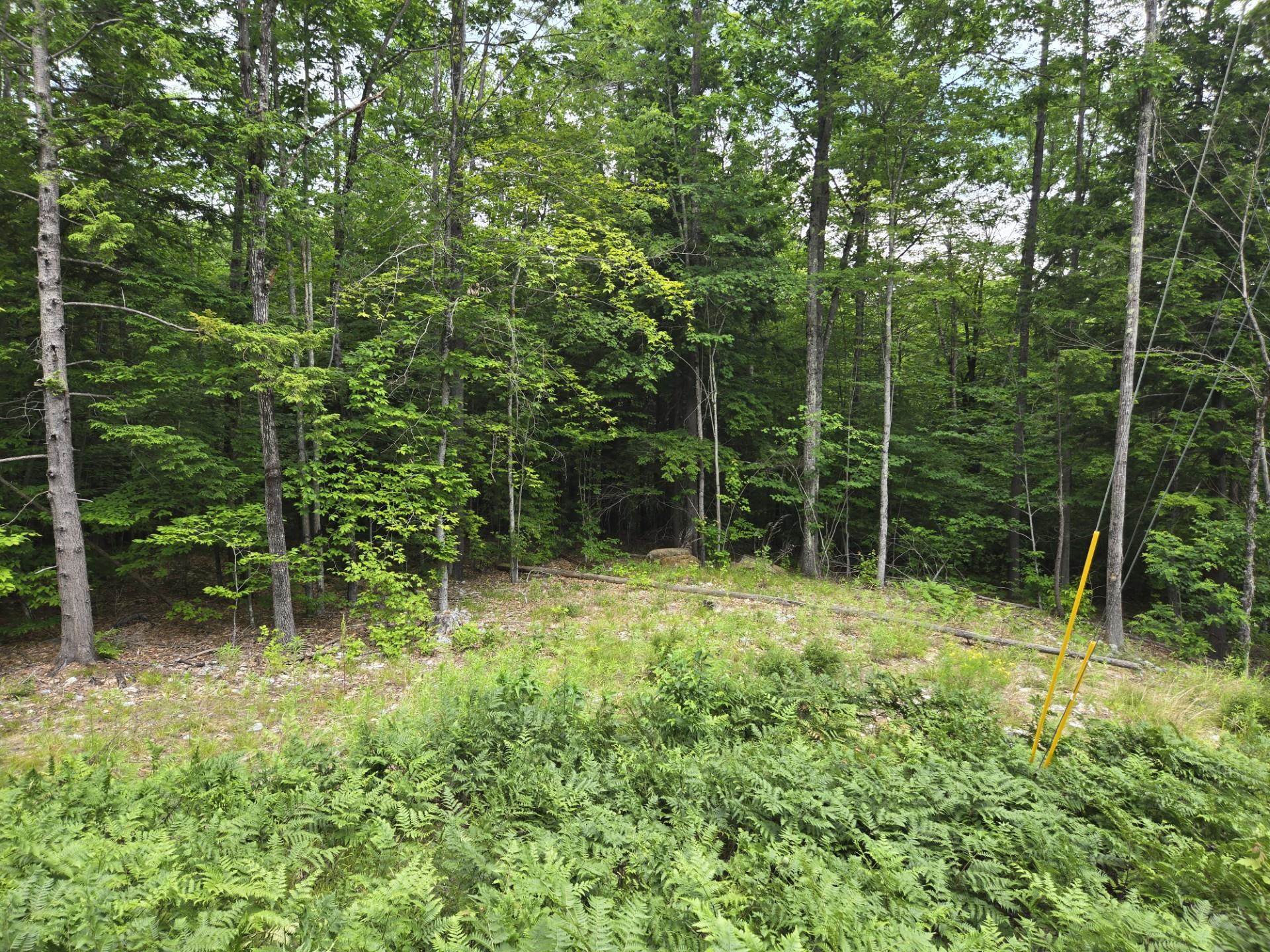 208 Nh Rte 3a Hill, NH 03243 - Photo 9 of 38