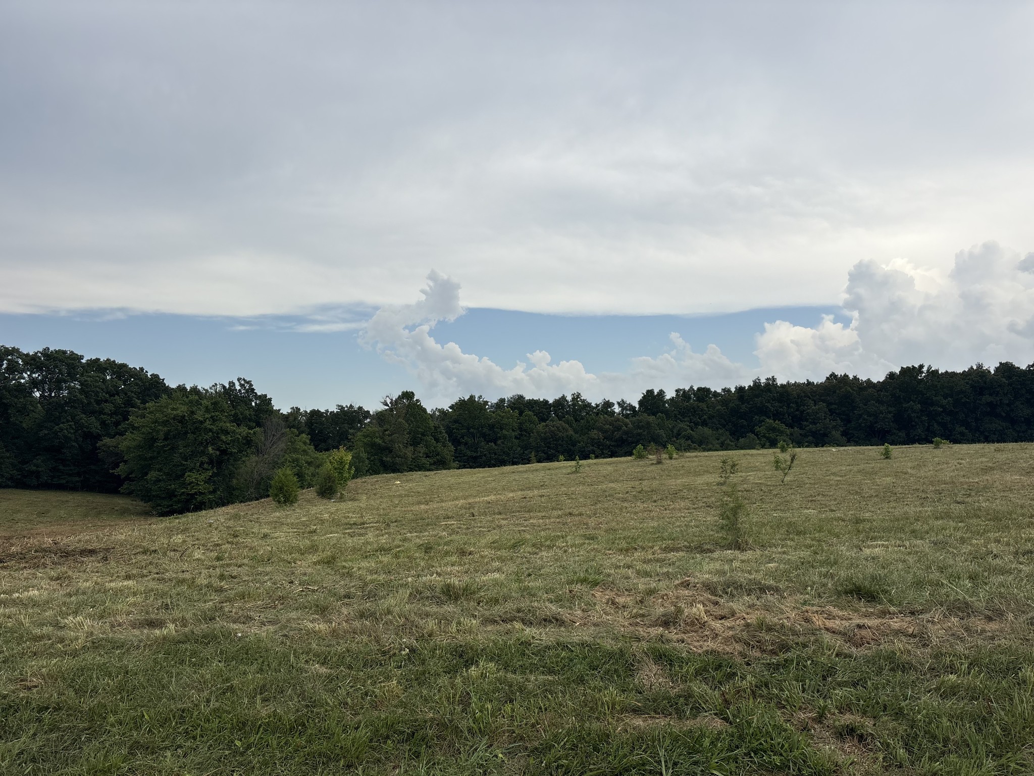 210 Nubia Road Westmoreland, TN 37186 - Photo 1 of 7