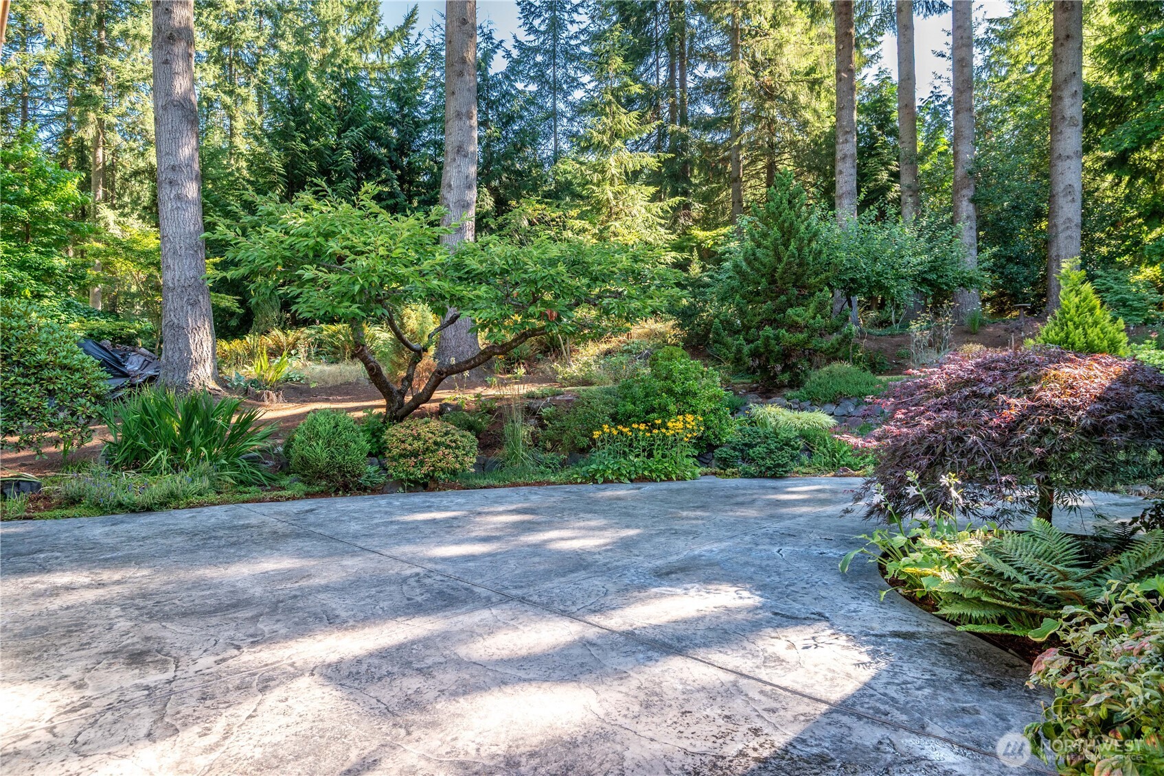 262 Sunset Drive Longview, WA 98632 - Photo 30 of 39 a view of a plants and garden