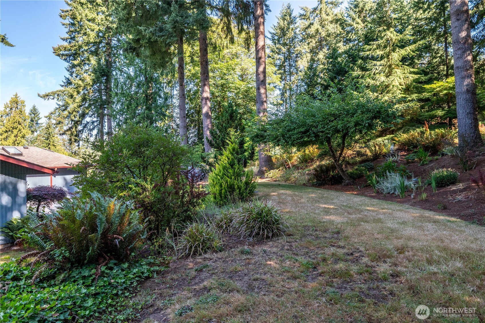 262 Sunset Drive Longview, WA 98632 - Photo 35 of 39 a view of road with large trees
