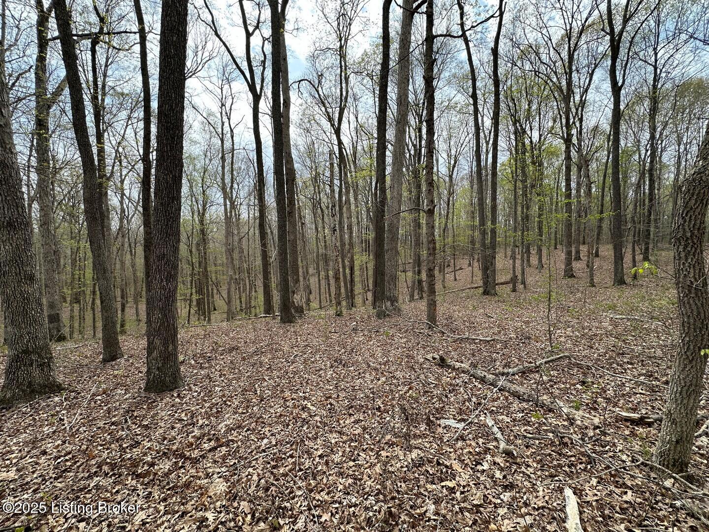 0 Vic Young Road Olaton, KY 42361 - Photo 12 of 40 0 Vic Young Rd6