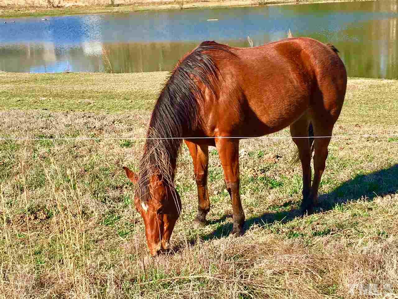 574 James Norris Road Angier, NC 27501 - Photo 1 of 22 Gallery Image 1