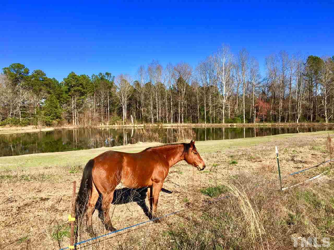 574 James Norris Road Angier, NC 27501 - Photo 9 of 22 Gallery Image 9