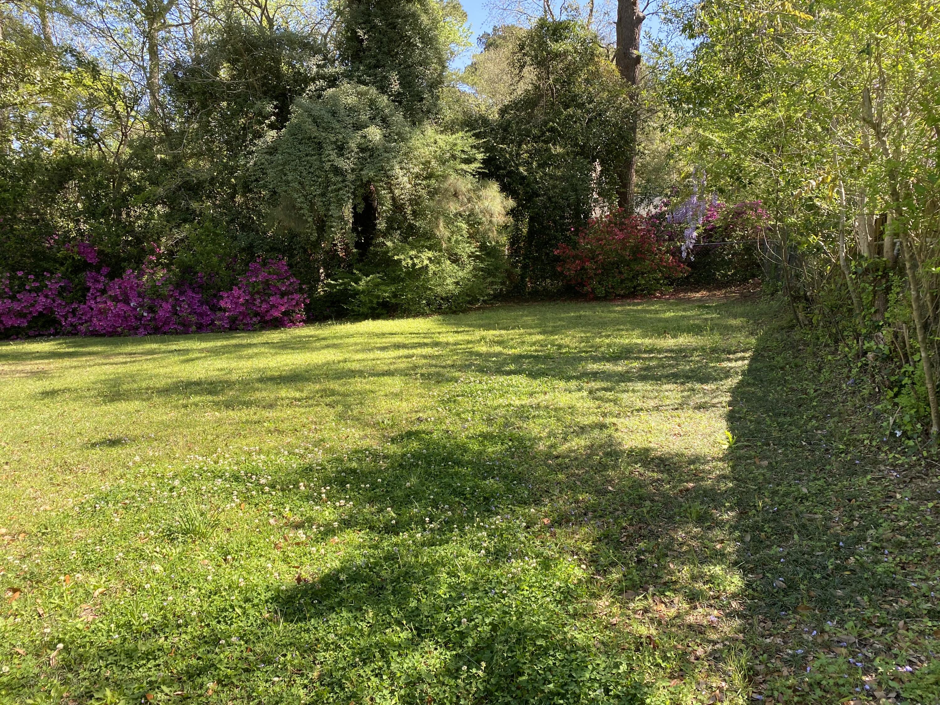 51 Old Trolley Road Summerville, SC 29485 - Photo 20 of 24 IMG_0743