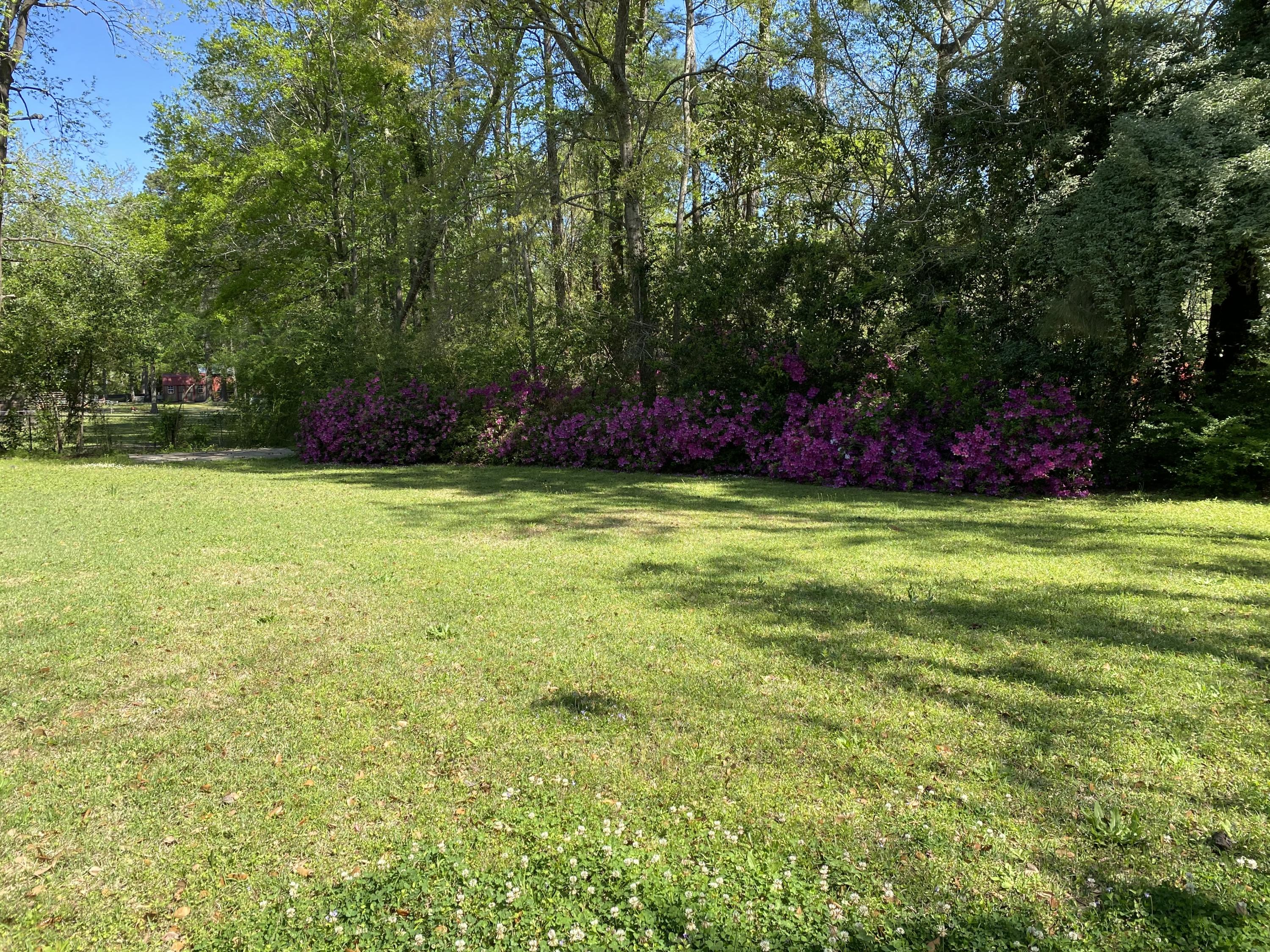 51 Old Trolley Road Summerville, SC 29485 - Photo 21 of 24 IMG_0745