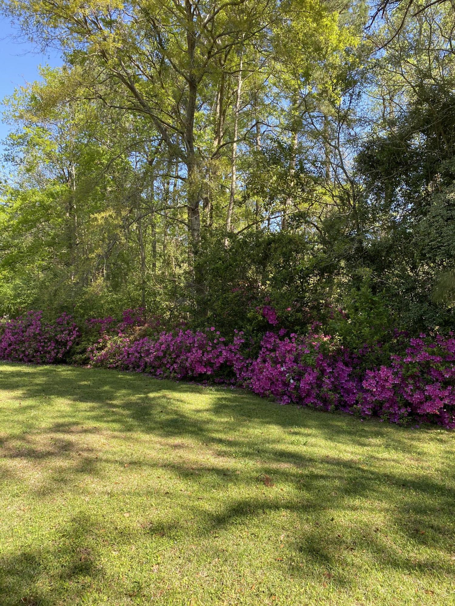 51 Old Trolley Road Summerville, SC 29485 - Photo 24 of 24 IMG_0750