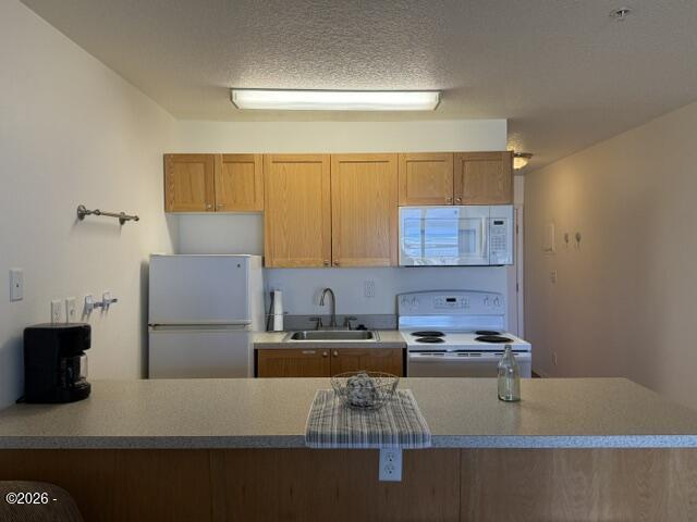 145 Northwest Inlet Avenue, Unit 101 Lincoln City, OR 97367 - Photo 11 of 16 IMG_1963