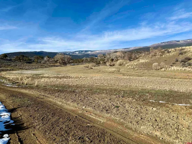 a view of an ocean beach