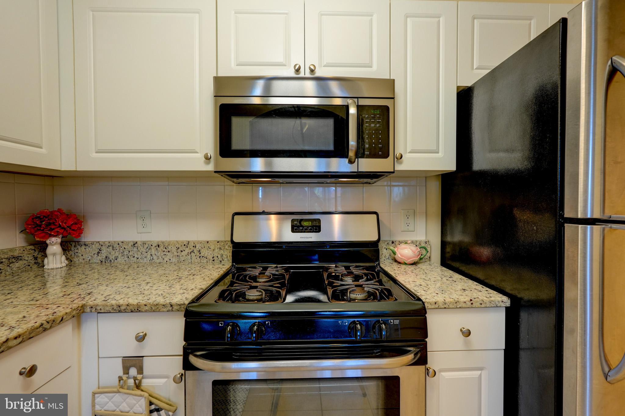 31 Booth Street, Unit 253 Gaithersburg, MD 20878 - Photo 17 of 61 Gallery Image 17