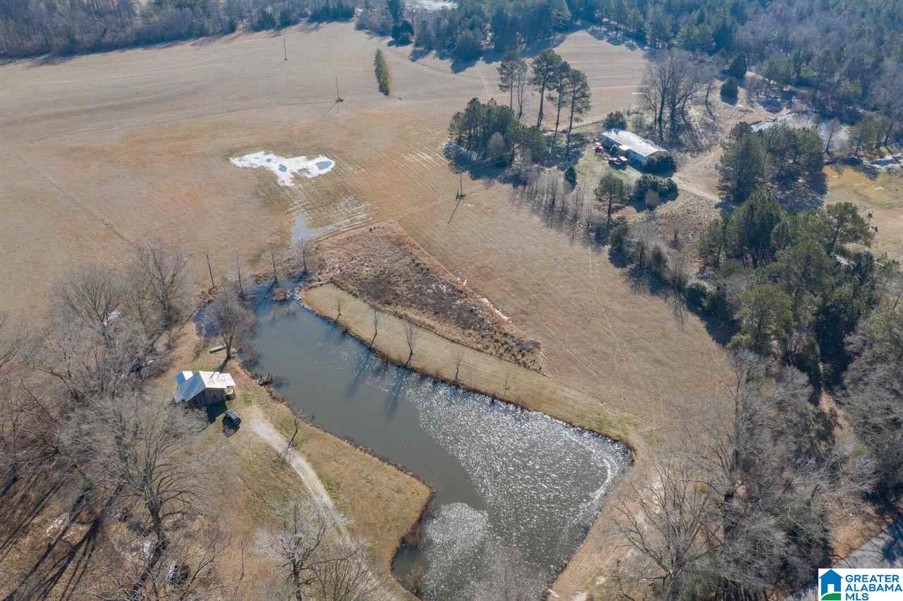 11218 Vance Blocton Road Vance, AL 35490 - Photo 30 of 37