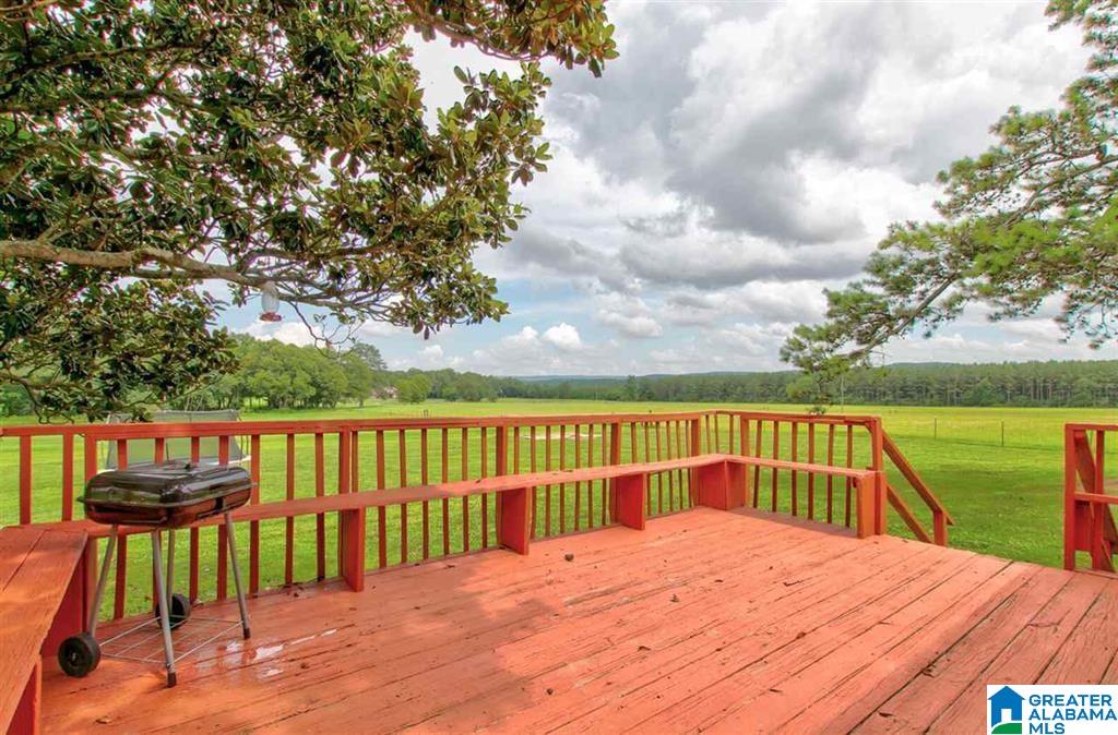 1175 Timmerman Road Blountsville, AL 35031 - Photo 21 of 21