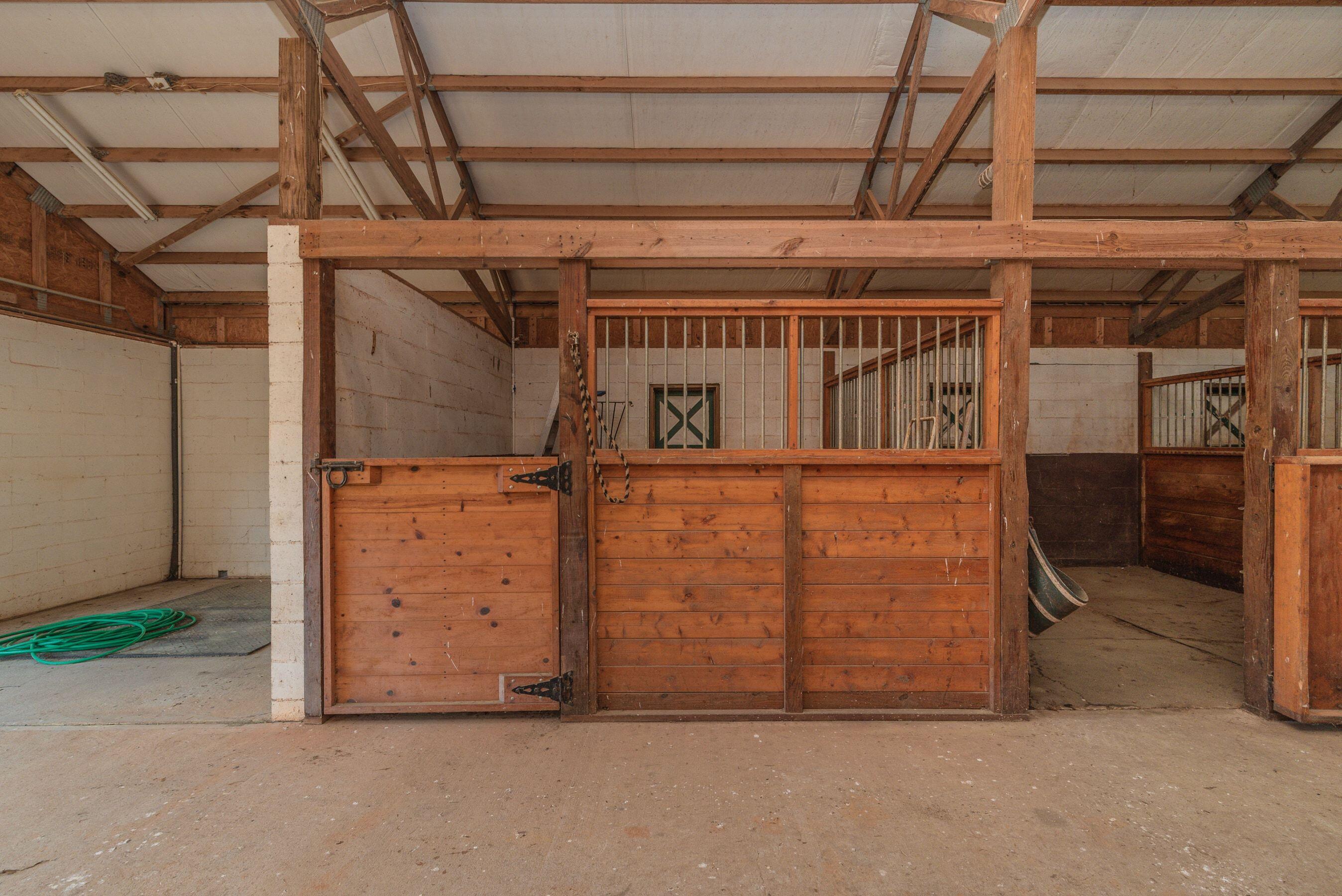 252 Moseley Road Williston, SC 29853 - Photo 23 of 64