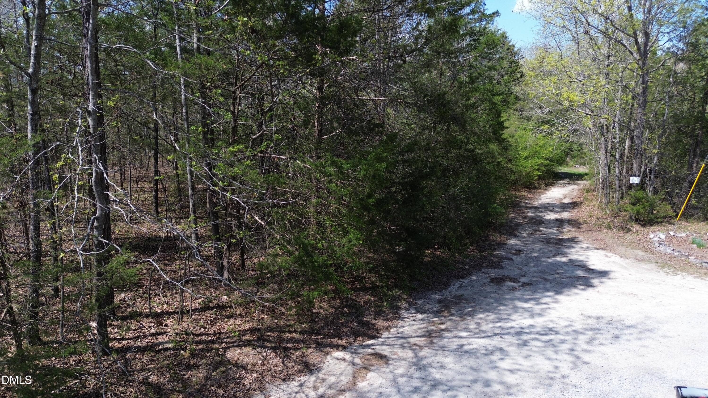 6614 Ridge Spring Road Zebulon, NC 27597 - Photo 3 of 9 a view of a yard with plants and trees