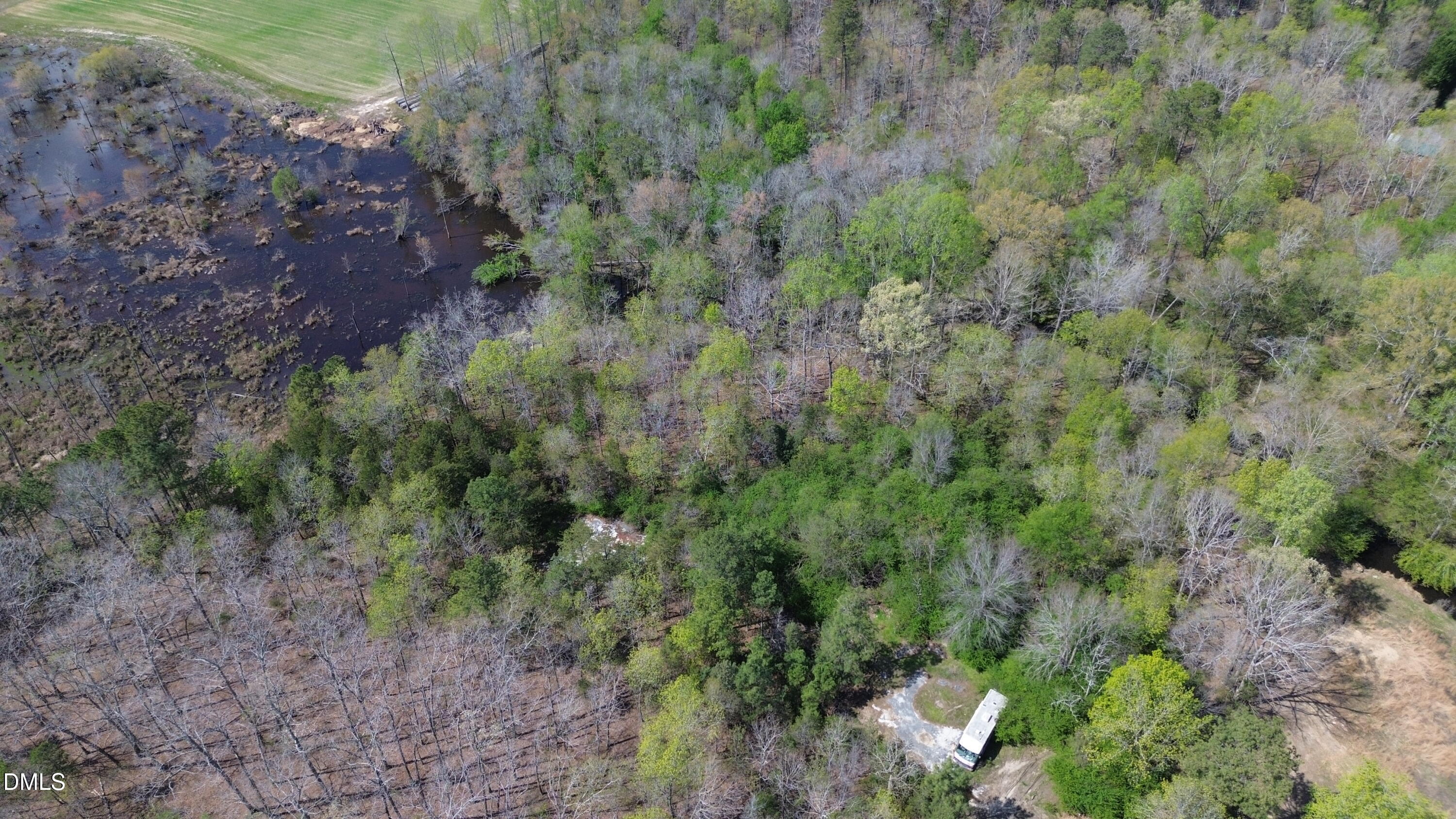 6614 Ridge Spring Road Zebulon, NC 27597 - Photo 4 of 9 a view of a forest with a tree