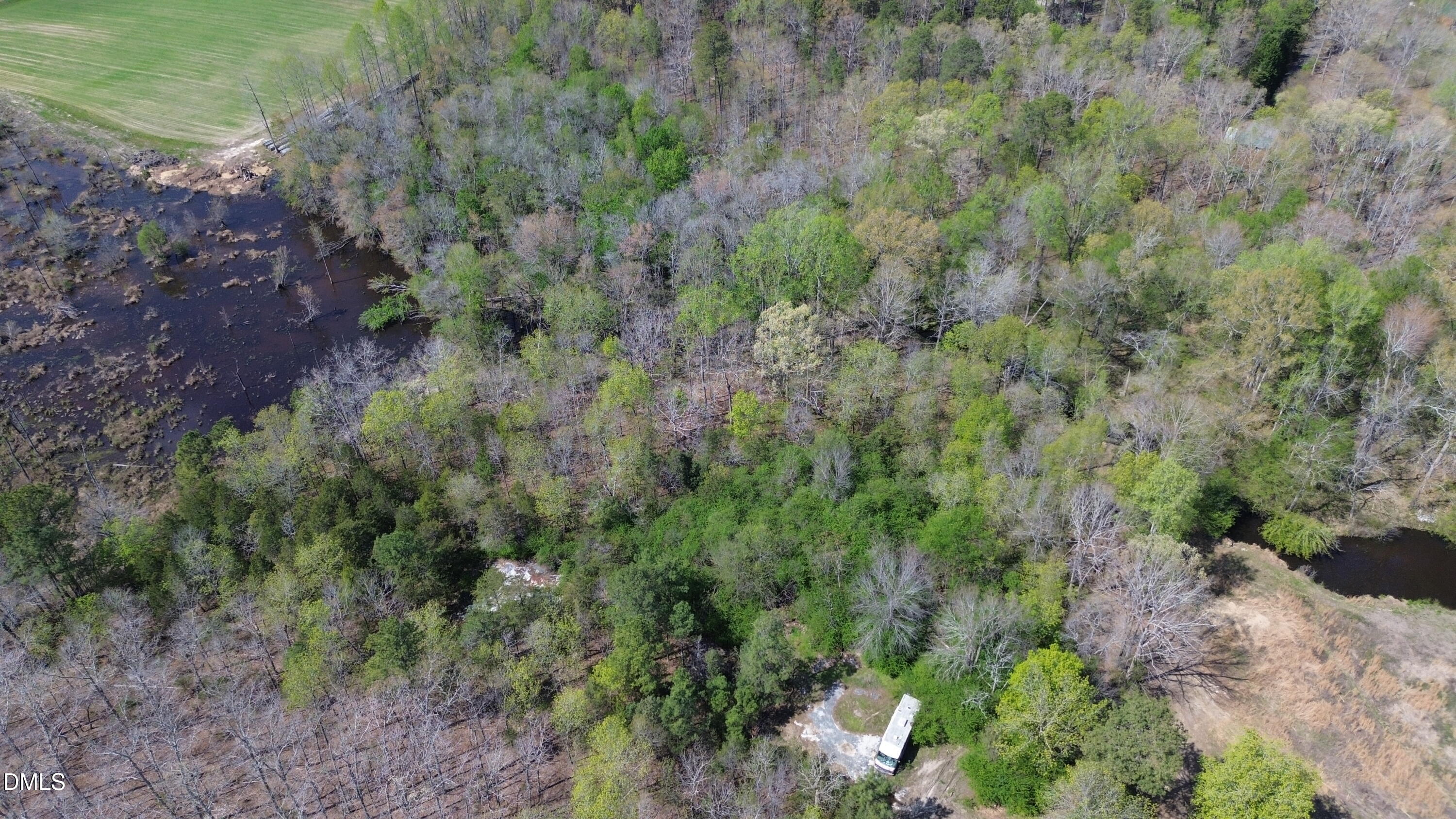 6614 Ridge Spring Road Zebulon, NC 27597 - Photo 5 of 9 a view of a lush green forest with lots of trees