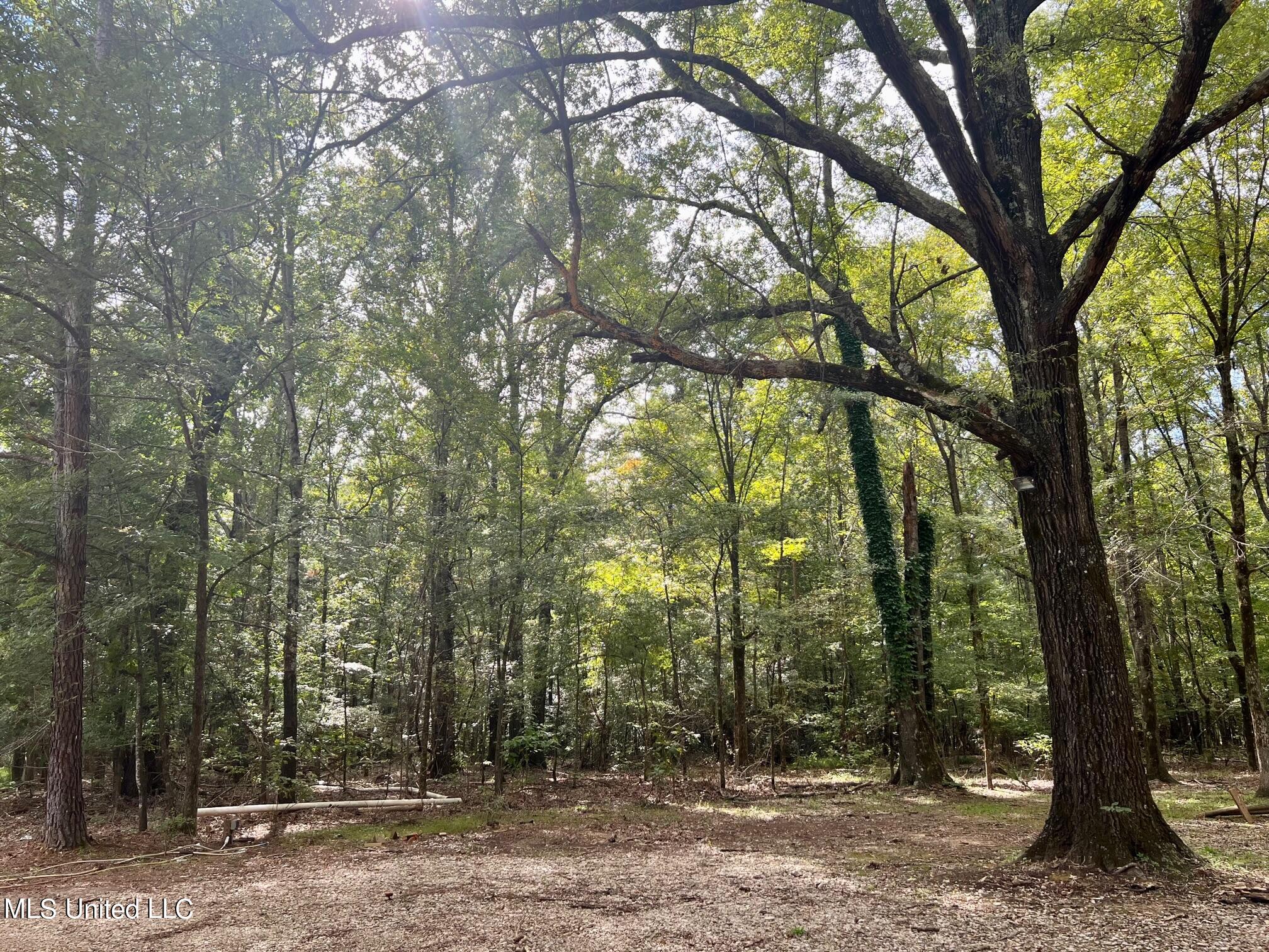 277 Stout Road Canton, MS 39046 - Photo 13 of 42 IMG_9589
