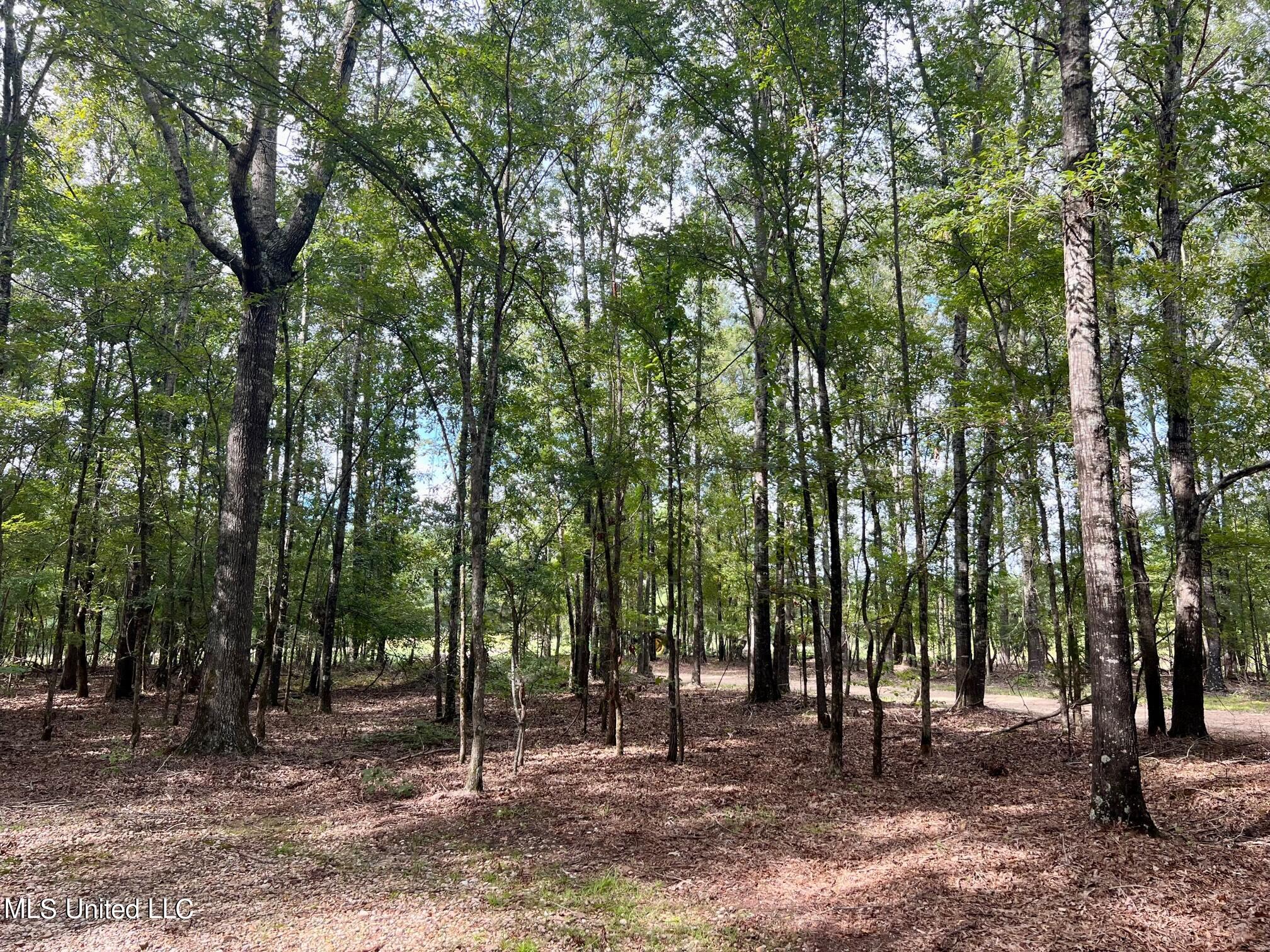 277 Stout Road Canton, MS 39046 - Photo 14 of 42 IMG_9590