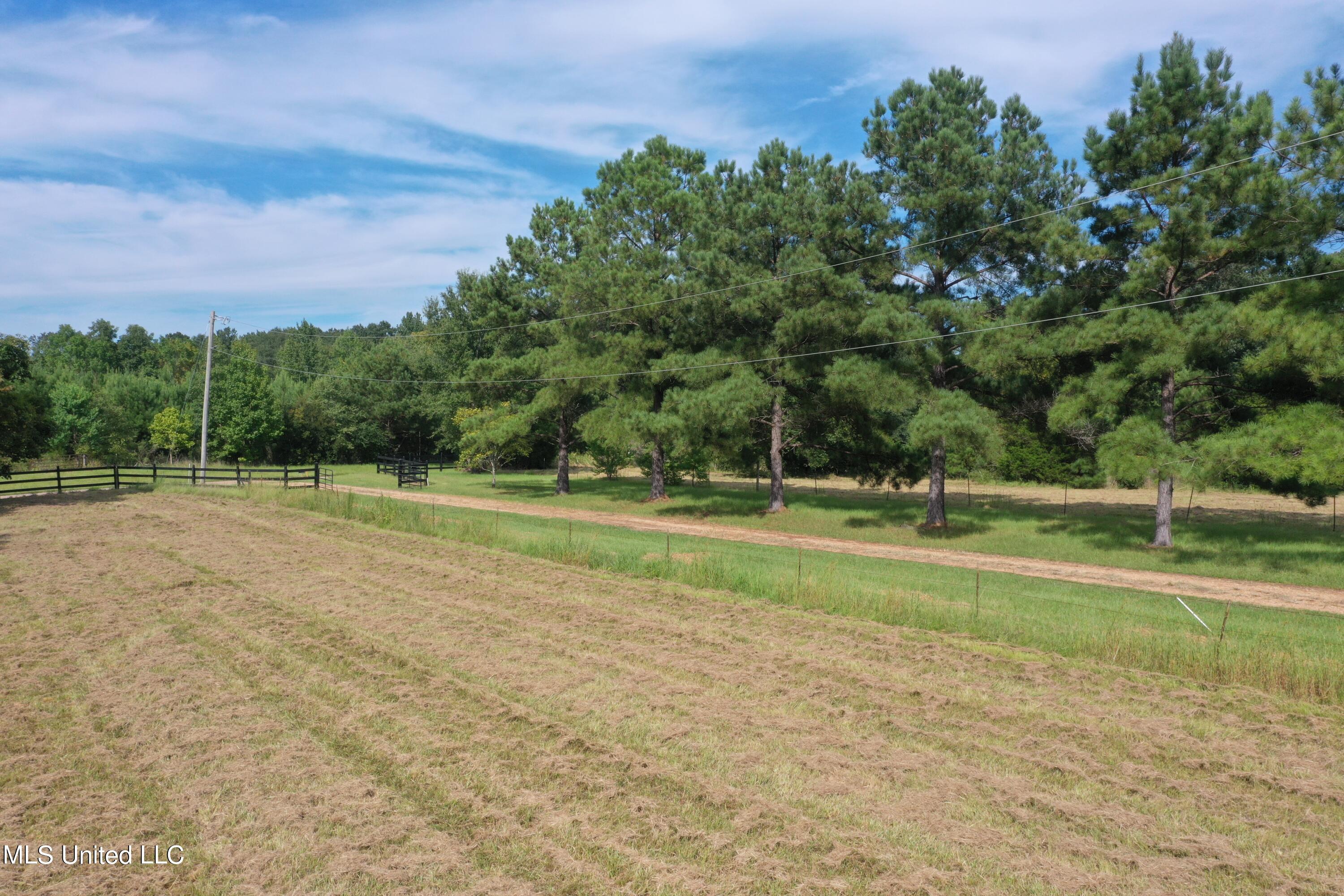 277 Stout Road Canton, MS 39046 - Photo 2 of 42 DJI_0412