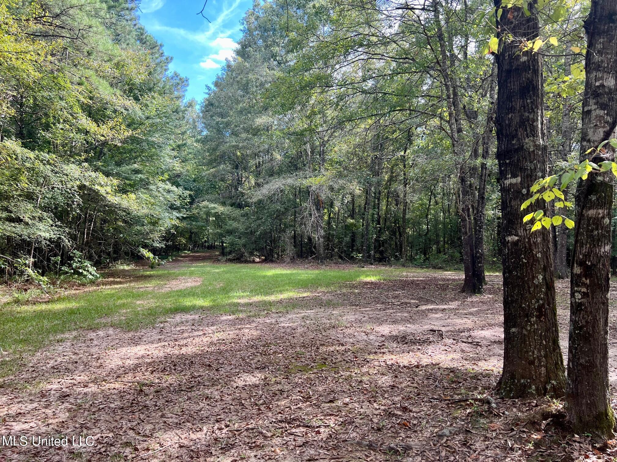 277 Stout Road Canton, MS 39046 - Photo 23 of 42 IMG_9600