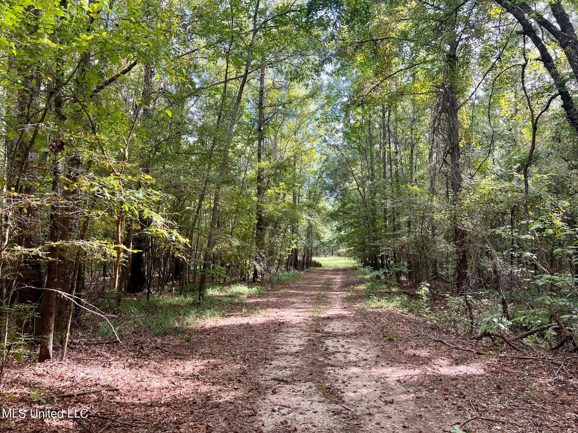277 Stout Road Canton, MS 39046 - Photo 24 of 42 IMG_9601