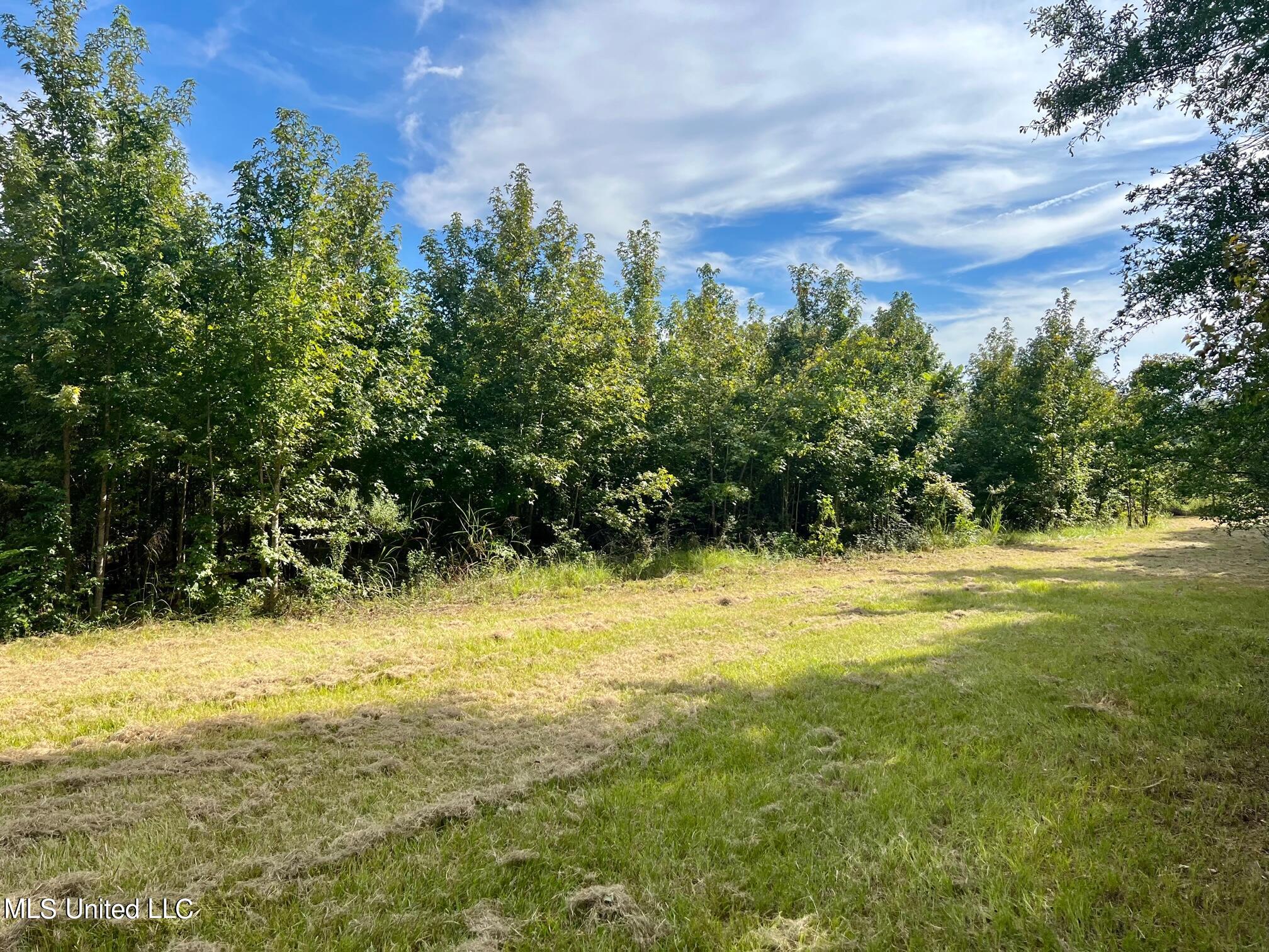 277 Stout Road Canton, MS 39046 - Photo 25 of 42 IMG_9602