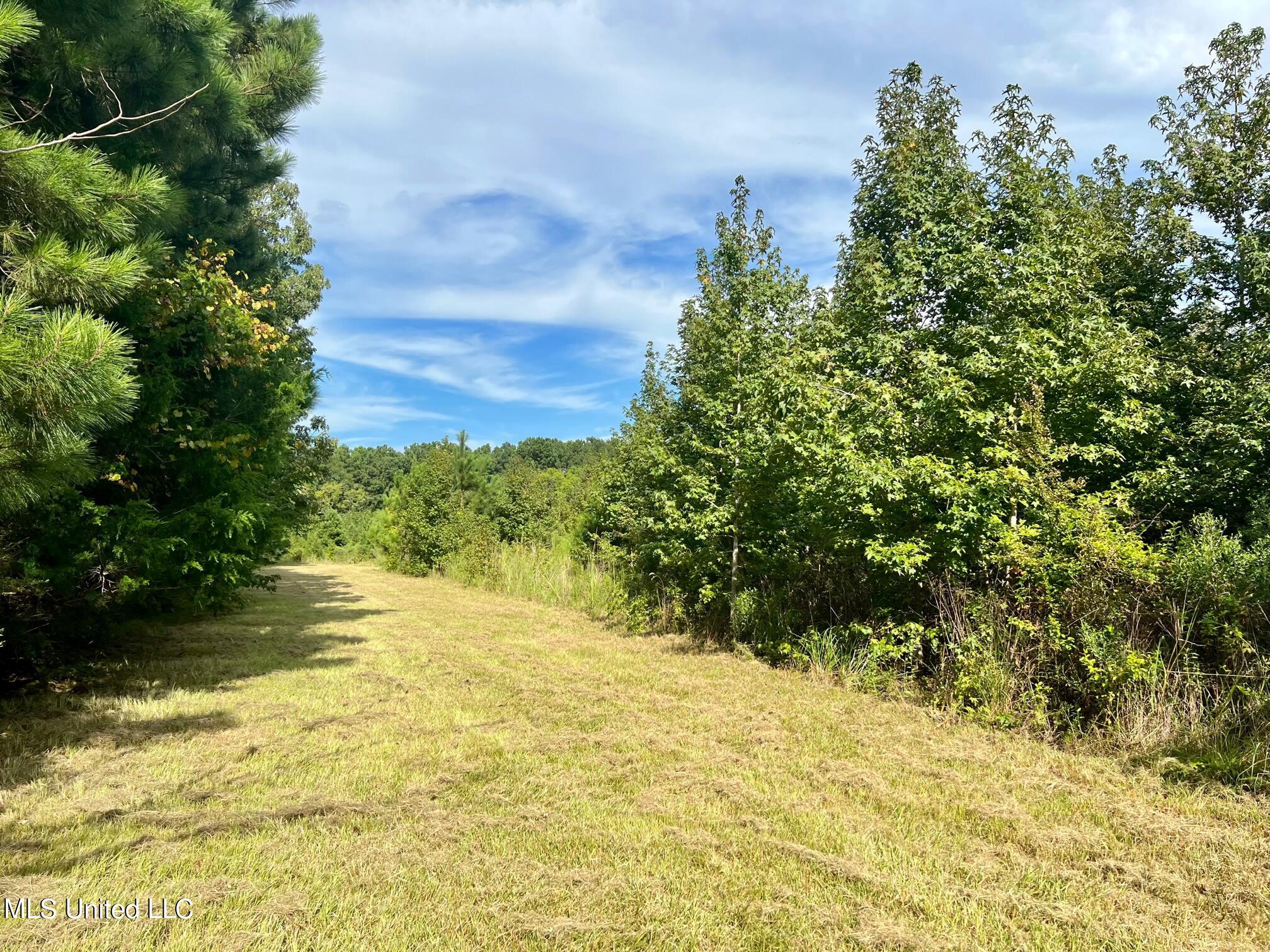 277 Stout Road Canton, MS 39046 - Photo 26 of 42 IMG_9603