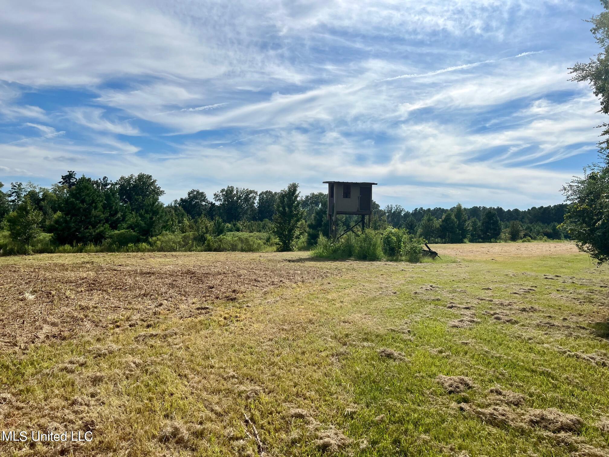 277 Stout Road Canton, MS 39046 - Photo 27 of 42 IMG_9604
