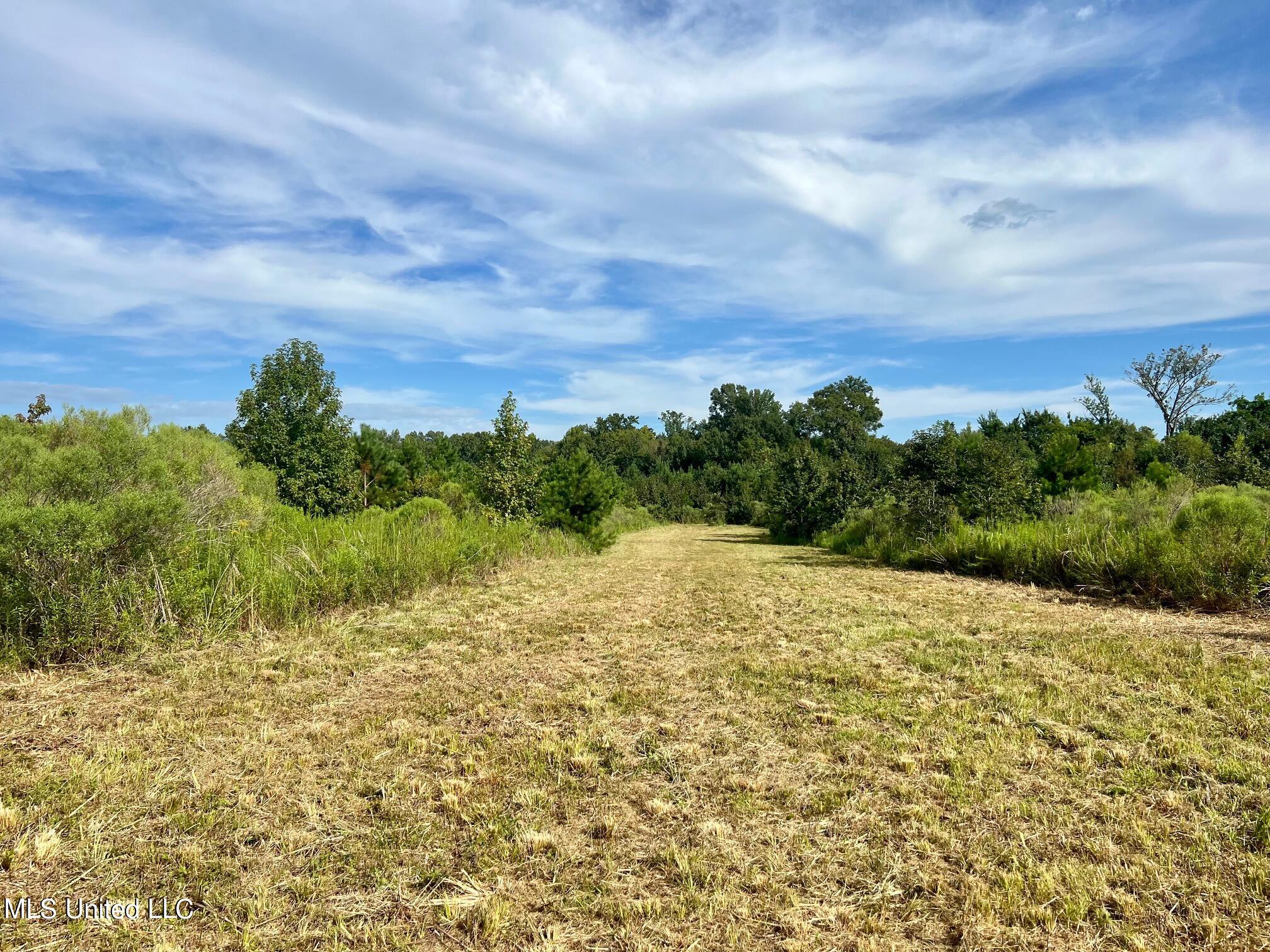 277 Stout Road Canton, MS 39046 - Photo 29 of 42 IMG_9606