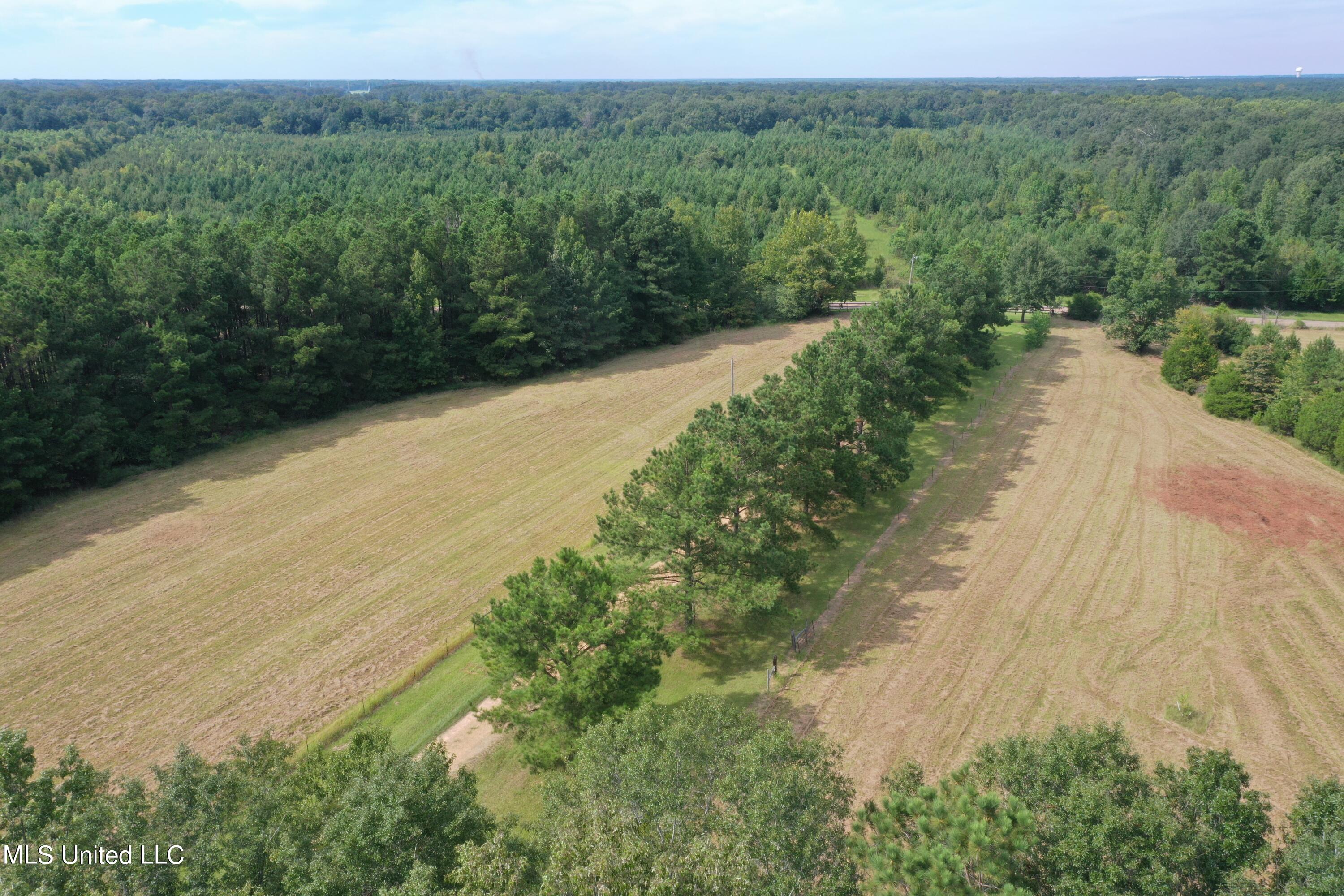 277 Stout Road Canton, MS 39046 - Photo 3 of 42 DJI_0393