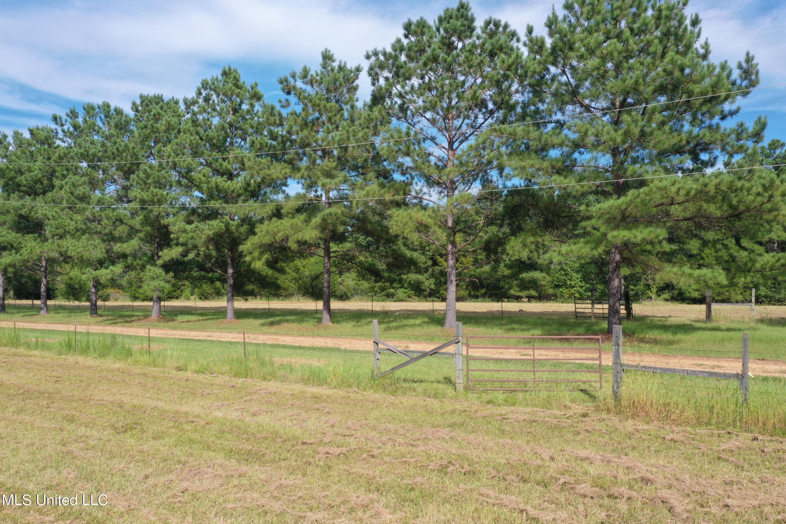277 Stout Road Canton, MS 39046 - Photo 37 of 42 DJI_0413